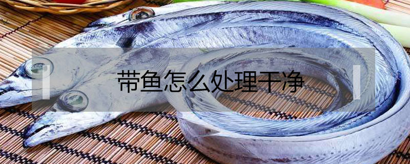 帶魚怎么處理干凈