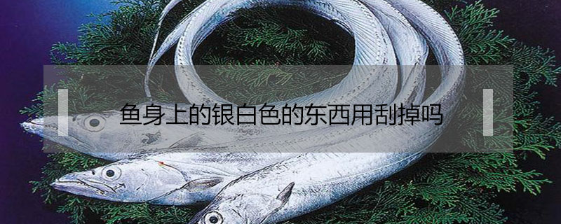 魚身上的銀白色的東西用刮掉嗎