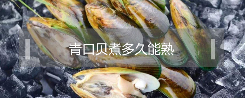 青口貝煮多久能熟