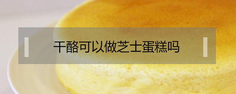 干酪可以做芝士蛋糕嗎