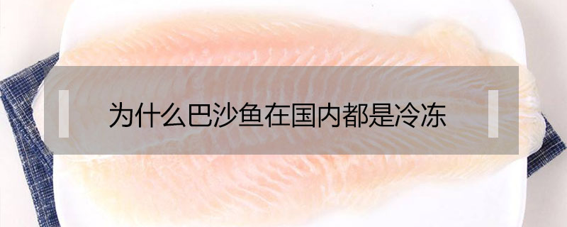 為什么巴沙魚在國(guó)內(nèi)都是冷凍