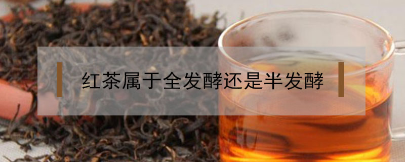 紅茶屬于全發酵還是半發酵