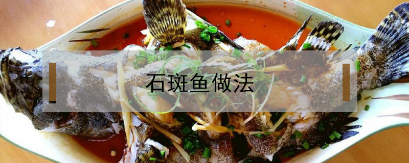 石斑魚做法