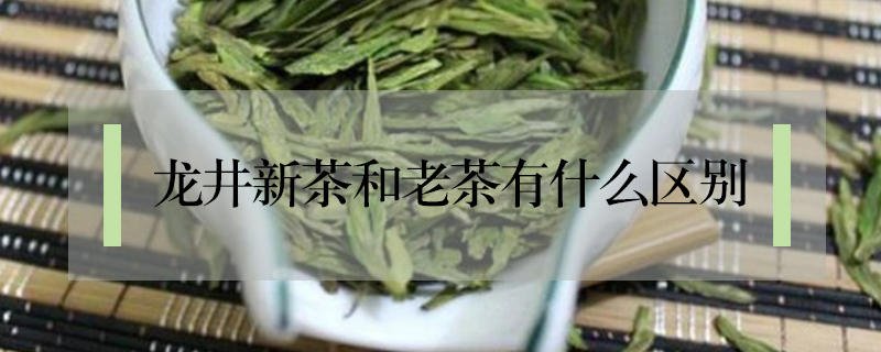 龍井新茶和老茶有什么區(qū)別