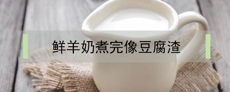 鮮羊奶煮完像豆腐渣