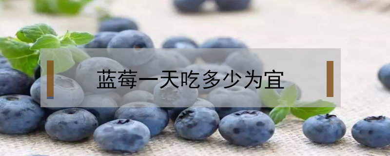 藍(lán)莓一天吃多少為宜