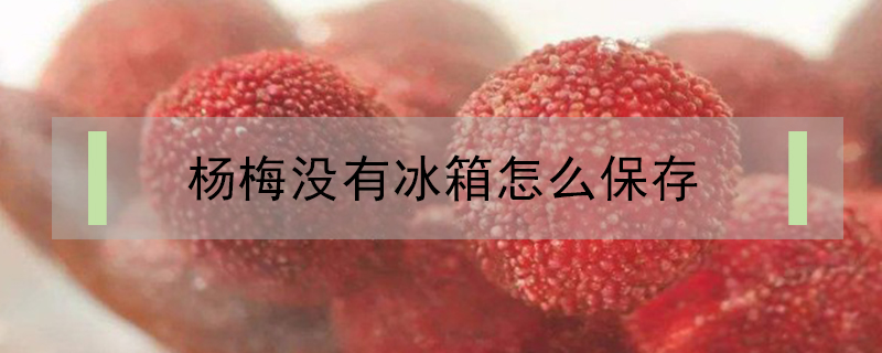 楊梅沒有冰箱怎么保存
