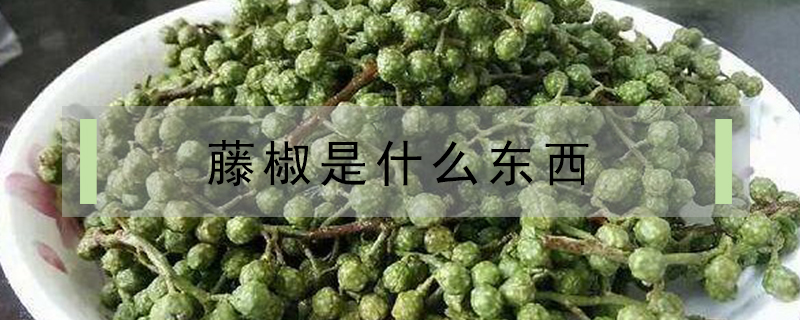 藤椒是什么東西