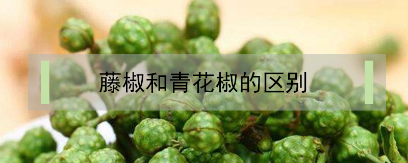藤椒和青花椒的區別