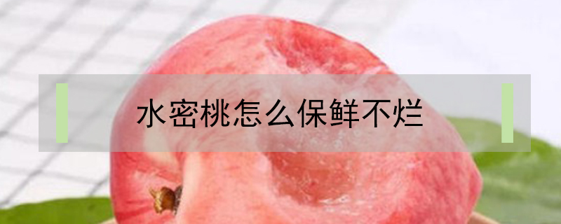 水密桃怎么保鮮不爛
