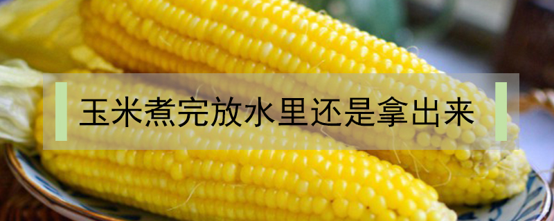 玉米煮完放水里還是拿出來(lái)