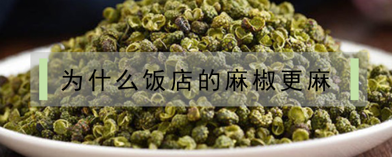 為什么飯店的麻椒更麻