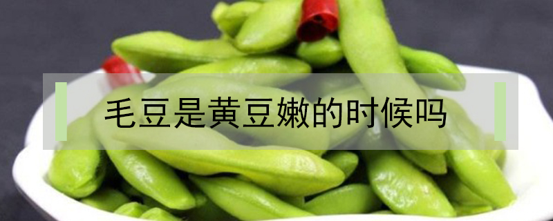 毛豆是黃豆嫩的時(shí)候嗎