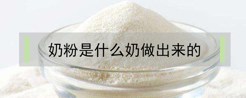 奶粉是什么奶做出來的