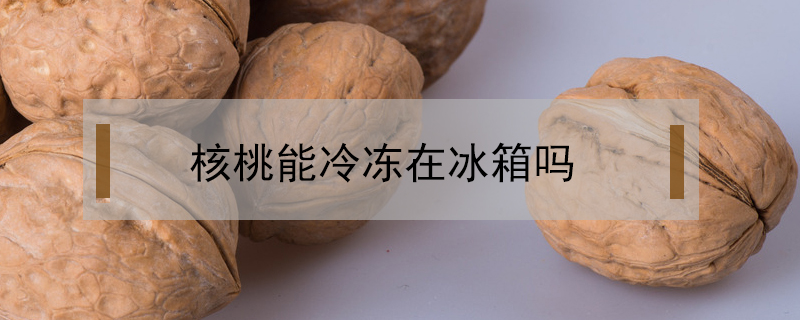 核桃能冷凍在冰箱嗎?
