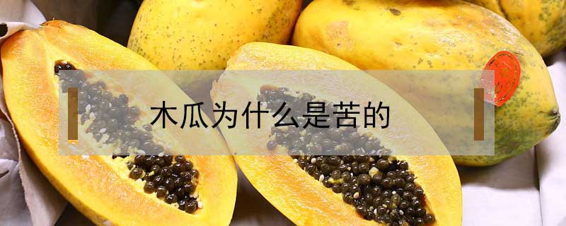 木瓜為什么是苦的