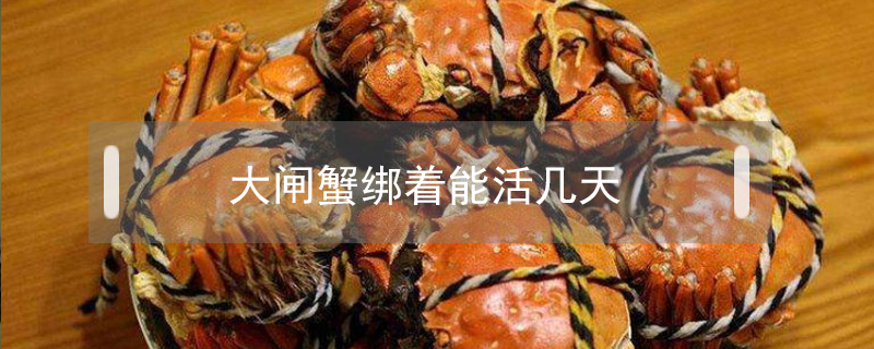 大閘蟹綁著能活幾天