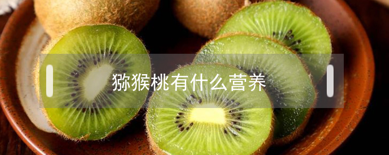 獼猴桃有什么營養