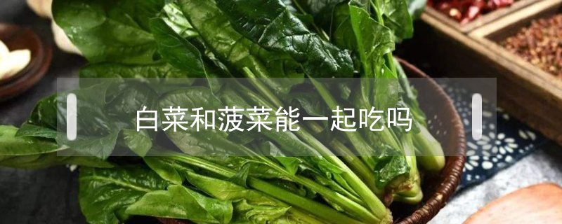 白菜和菠菜能一起吃嗎