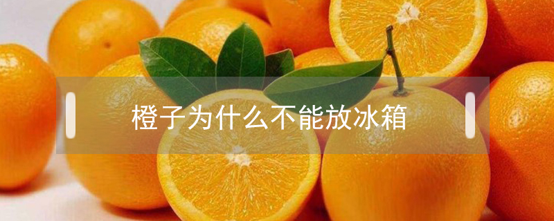 橙子為什么不能放冰箱