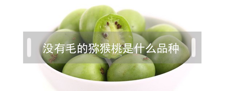 沒有毛的獼猴桃是什么品種