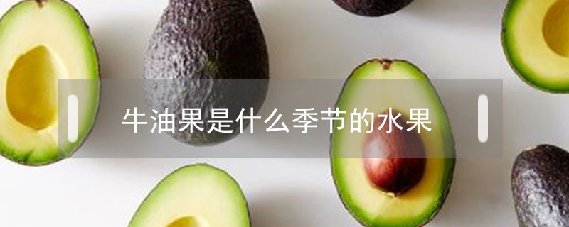 牛油果是什么季節的水果
