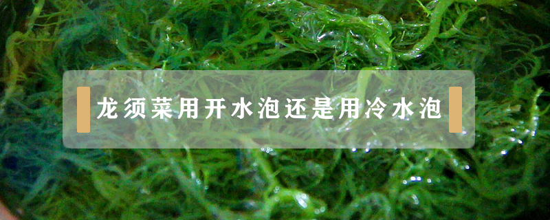 龍須菜用開水泡還是用冷水泡