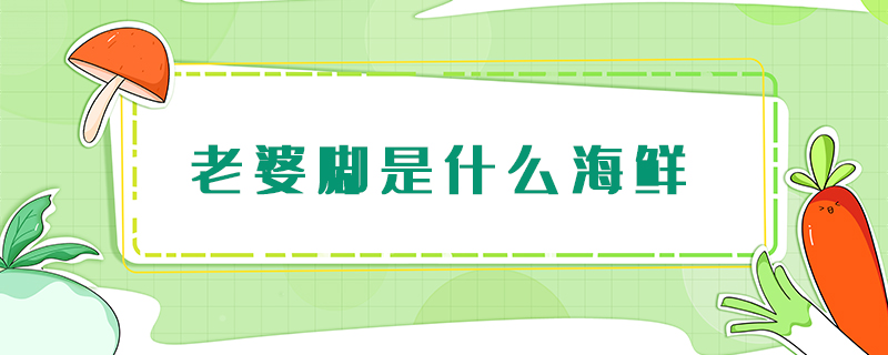 老婆腳是什么海鮮