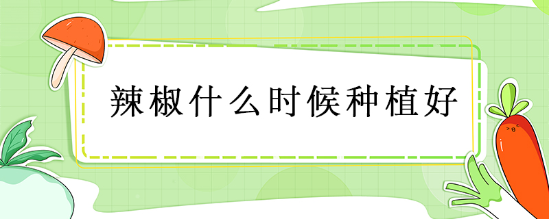 辣椒什么時候種植好