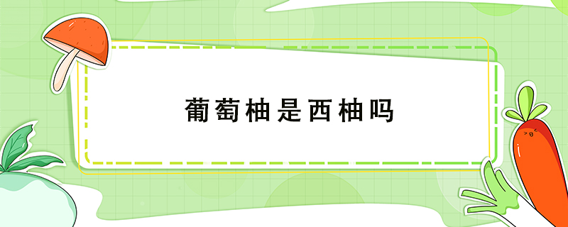 葡萄柚是西柚嗎