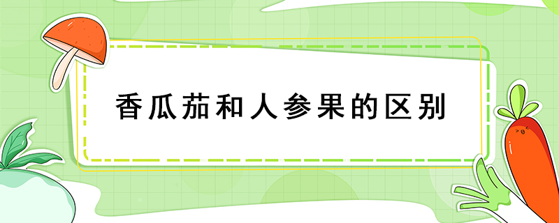 香瓜茄和人參果的區別