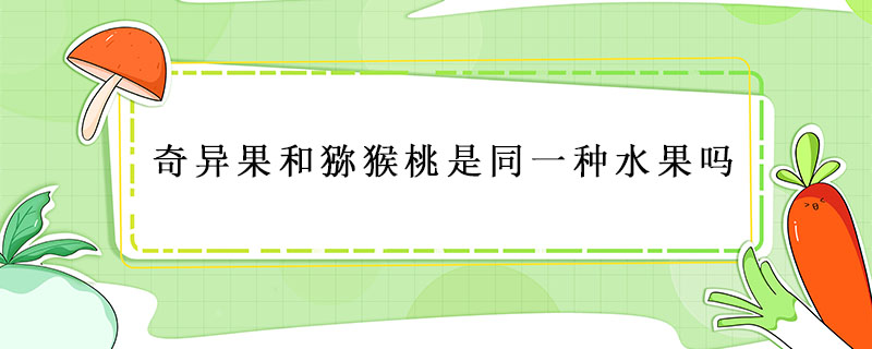 奇異果和獼猴桃是同一種水果嗎