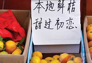 我懂我懂你先把字簽了，你是真懂嗎