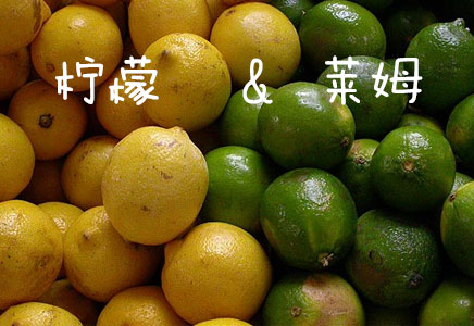 萊姆圖片，萊姆的功效與作用，萊姆營養價值