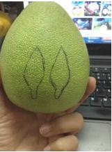 柚子龍貓怎么做，可愛的柚子龍貓做法（圖文）