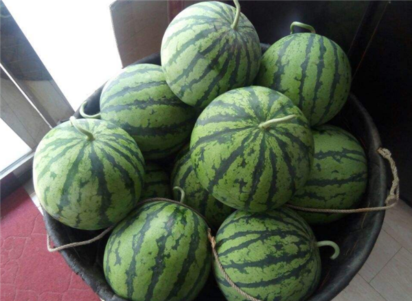 麒麟瓜有哪些營養(yǎng)價(jià)值 吃麒麟瓜有什么好處