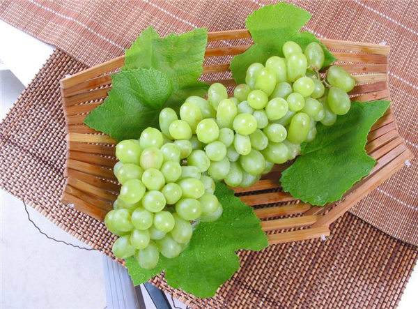 青提子的功效與作用 青提子的營養價值