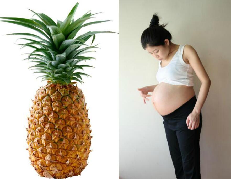 孕婦可以吃菠蘿嗎 菠蘿長在樹上還是地上