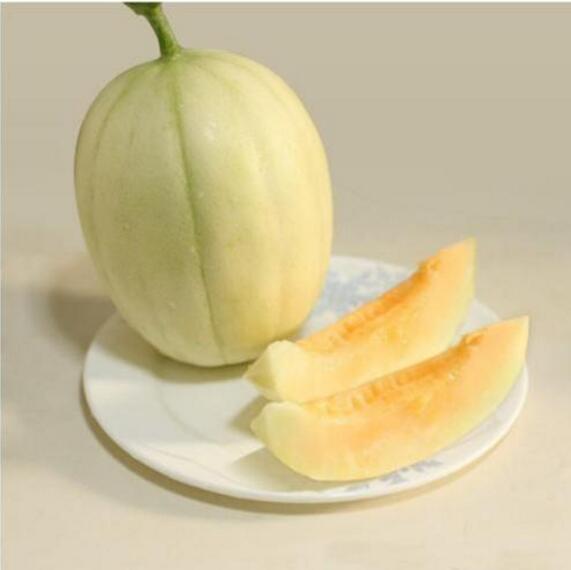 哺乳期可以吃香瓜嗎 香瓜的籽能吃嗎