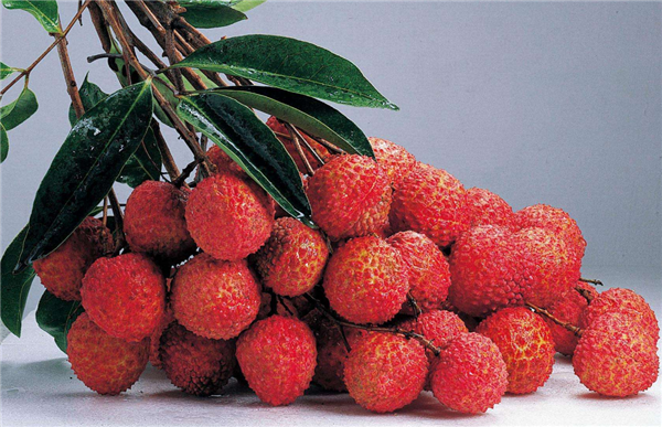 妃子笑荔枝多少錢一斤 2018年妃子笑荔枝價(jià)格