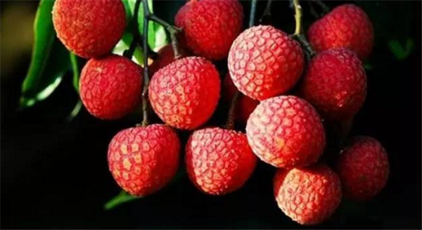 妃子笑荔枝多少錢一斤 2018年妃子笑荔枝價(jià)格