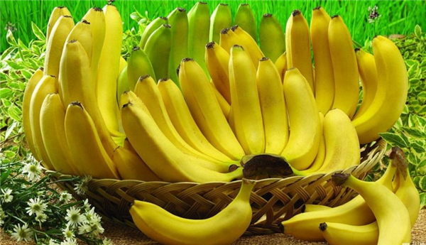 吃什么對眼睛好 對眼睛好的食物和水果