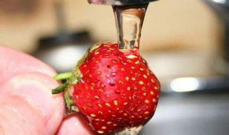 草莓怎么洗才干凈 清洗草莓技巧全解