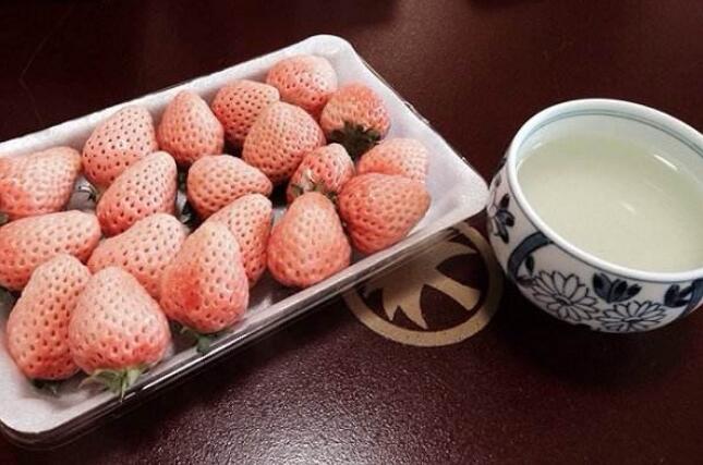 白草莓價格多少錢一斤 白草莓的營養價值有哪些
