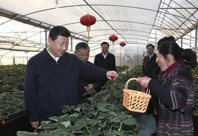 四季草莓一年結幾次果 四季草莓的種植方法