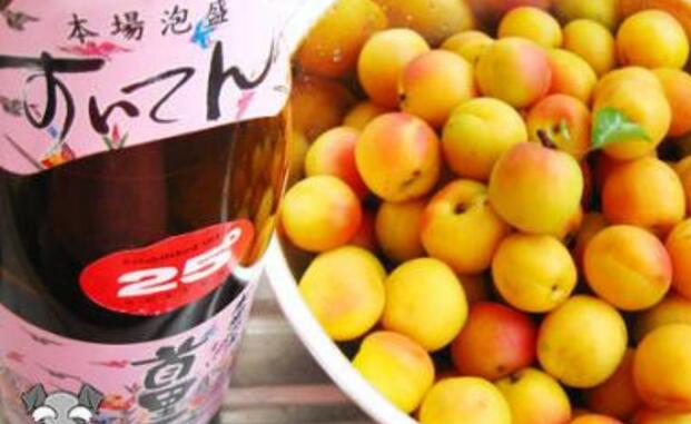 杏子泡酒要去核嗎 沒熟的杏子可以泡酒嗎