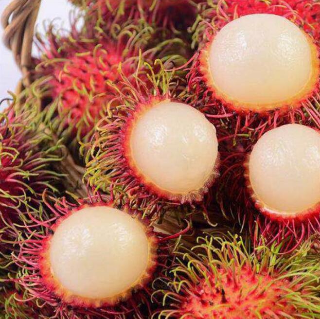 泰國進(jìn)口紅毛丹圖片 毛荔枝圖片大全