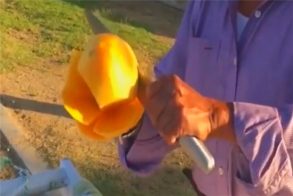 芒果怎么吃方便圖解 又方便又好看的吃芒果方式