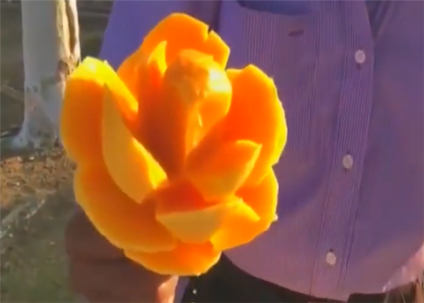 芒果怎么吃方便圖解 又方便又好看的吃芒果方式