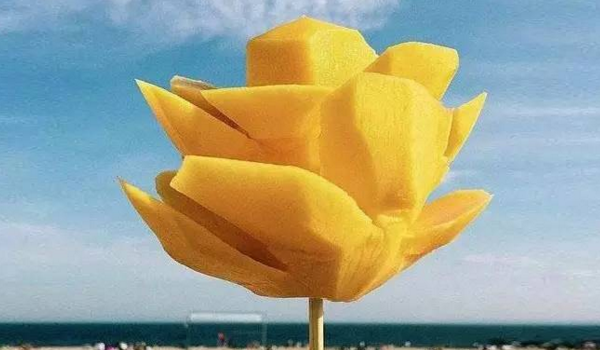 芒果怎么吃方便圖解 又方便又好看的吃芒果方式